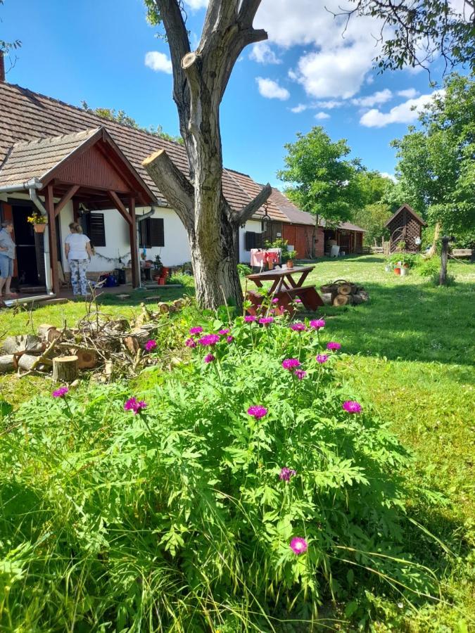 Harmat Porta Villa Galambok Bagian luar foto